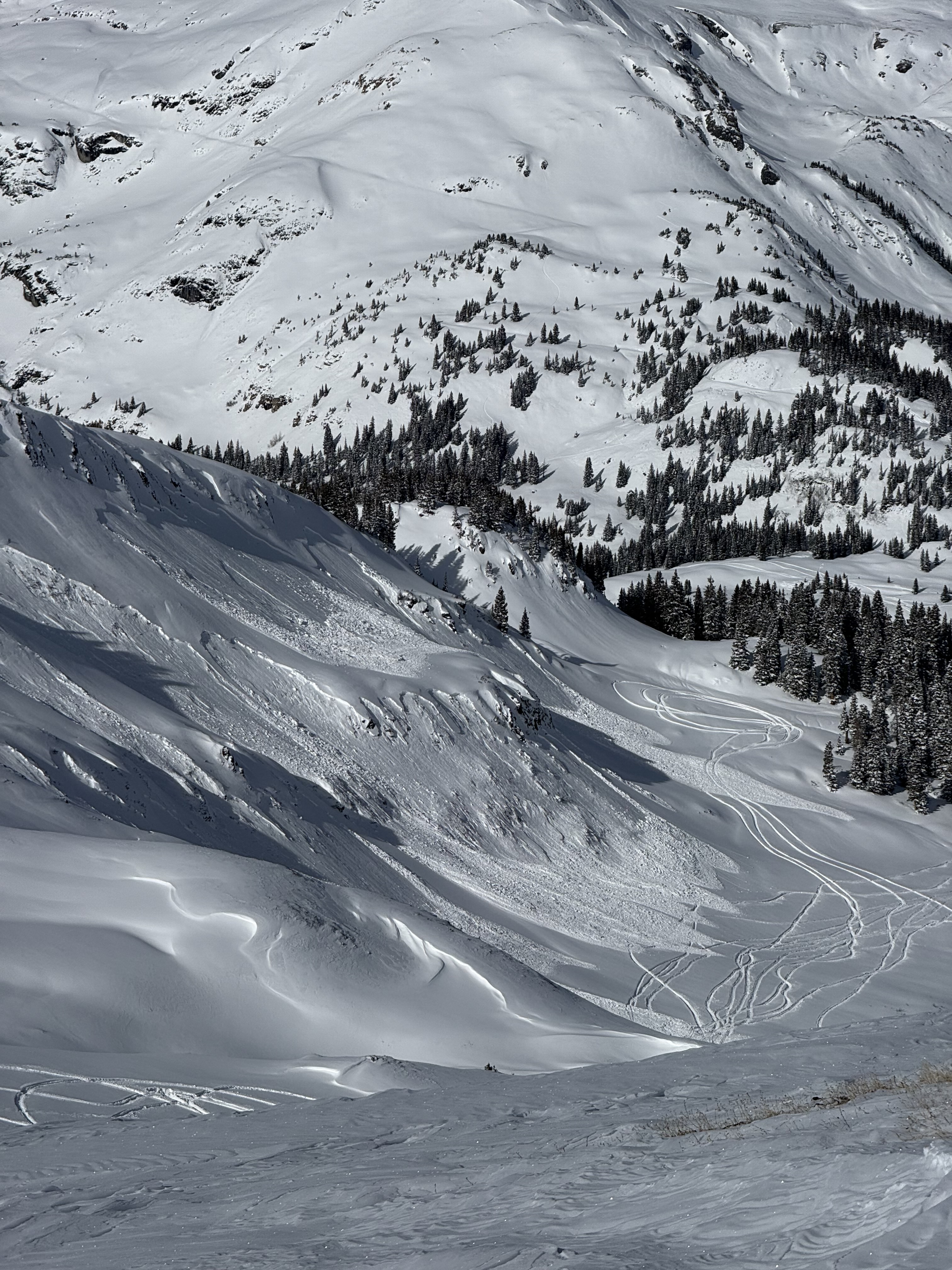 Avalanche Weekly Summary - January 2, 2025 | Colorado Avalanche